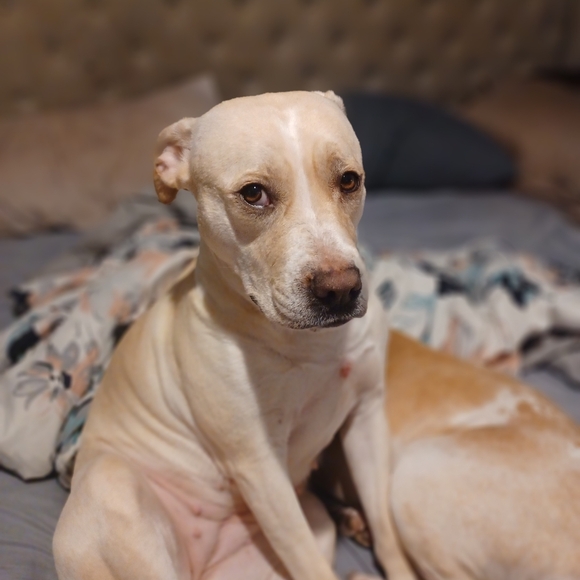 Meet your Posher, Mary - Picture 2 of 16